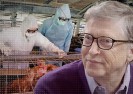 Na życzenie Billa Gatesa: ”Choroba X” wybuchła w Chinach.