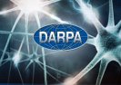DARPA chce za 5 lat wszczepiać ludziom czipy do mózgu.