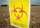 Rząd chce wprowadzenia stref uprawy GMO”. Podpisz petycje!