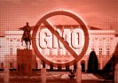 Protest przeciw ustawie o GMO 10.01.2015.