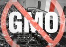 Alarm! Polska otwarta na GMO.