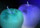 Modyfikowane genetycznie jabłka będą wdrażane w USA.
