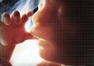 W USA organy dzieci poddanych aborcji sprzedawane są na wolnym rynku.