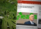 Politycy i policja kontrolują rynek legalizowanej marihuany.