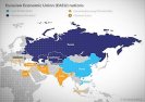 Eurazjatycka Unia Gospodarcza. Polityka