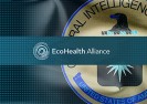 Wiceprezes EcoHealth Alliance twierdzi, że dr Peter Daszak pracował dla CIA a firma była przykrywką dla Agencji.