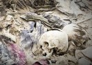 Znaleziono trzy masowe groby z tysiącem ciał w Iraku.