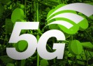 5G – powstrzymaj zagrożenie, jakie niesie ze sobą wprowadzenie do Polski tej bezprzewodowej sieci nowej generacji – podpisz petycję!