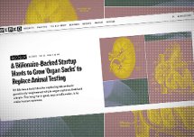 Psychopaci brną w kierunku tworzenia ludzi bez głów.