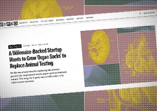 Psychopaci brną w kierunku tworzenia ludzi bez głów.