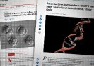 Chiński naukowiec twierdzi, że stworzył pierwsze na świecie zmodyfikowane genetycznie dzieci .