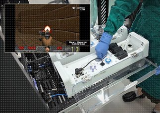 Naukowcy uczą wyhodowane w laboratorium ludzkie komórki mózgowe by grały w Dooma.