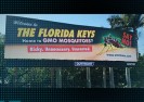 Miliardy komarów GMO uwalnia się w Florida Keys.