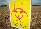 Rząd chce wprowadzenia stref uprawy GMO”. Podpisz petycje! Nauka i technologia
