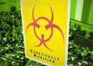 Alarm! Uprawy GMO w Polsce to koniec dobrej żywności i wolności.