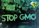 Fundacja ICPPC wzywa Polaków do połączenia sił w walce z GMO.