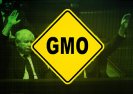 Wspólnie walczymy o Polskę wolną od GMO.