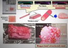 Naukowcy z Japonii drukują wołowinę Wagyu.