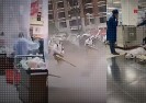 Koronawirus na świecie. Materiały wideo.