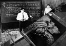 MK Ultra - masowa hipnoza i jej cele. #1 Nauka i technologia