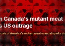 Kanada wstrzymuje plany zatwierdzenia przyjęcia do sprzedaży klonowanego mięsa.