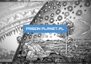 Podsumowanie 2 roku działania PrisonPlanet.pl