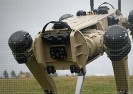 Baza sił powietrznych na Florydzie wdrożyła grupę psów-robotów.