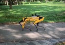 Rząd w Singapurze wykorzystuje epidemie do wdrożenia robotów kontrolujących zachowania obywateli.