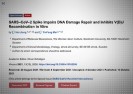 Badanie stwierdza, że „Szczepionki” na Covid hamują zdolność do samonaprawy DNA powodując raka.