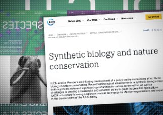 Szykują produkcję nowych form życia. IUCN tworzy pierwszą globalną politykę dla stosowania syntetycznej biologii.