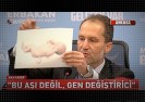 Po szczepieniach na Covid-19 w Turcji rodzą się chimery?