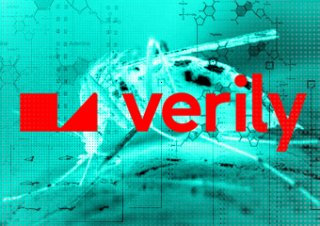 Projekt Debug firmy Google wypuści miliony komarów do środowiska.