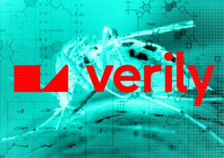Projekt Debug firmy Google wypuści miliony komarów do środowiska.