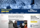 Zapomnij o trawce, w USA zalegalizowano halucynogenne grzyby. Kultura