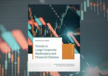 W USA wzrasta poziom Megabankructw.